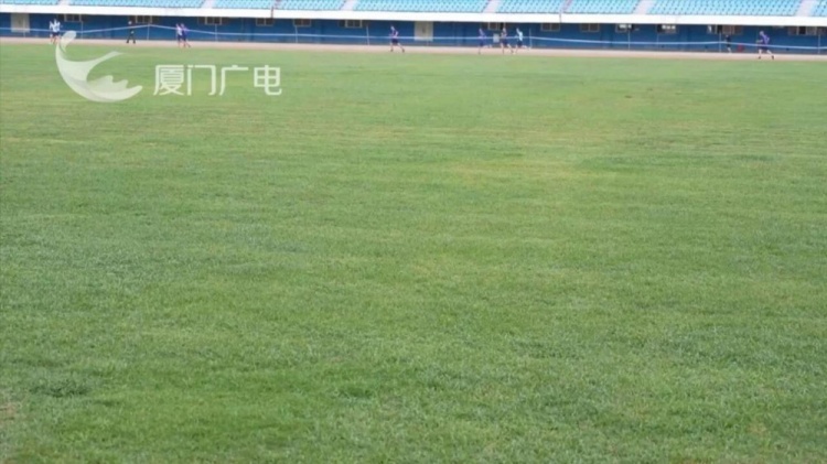 厦门市体育中心启动硬件升级 40天工期对标闽超标准 厦门市体育中心启动硬件升级 40天工期对标闽超标准