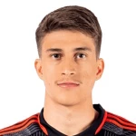 加布里埃尔·皮拉尼