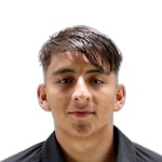 埃米利亚诺·马丁内斯