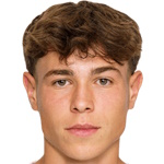 埃尔明·马赫米奇