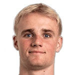 维克托·莫·弗罗霍尔特