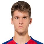 马克·卡尔多纳