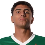 费尔南多·托雷斯